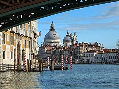 Venice is Drowning/Joaquin Phoenix/Rafa